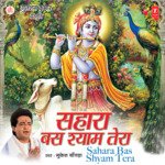 Sahara Bas Shyam Tera - Mukesh Bagda Song Download